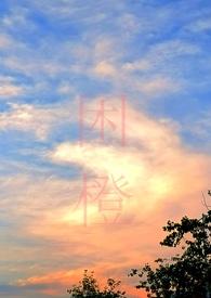 困城(男出轨H)_完整章节目录 - 花海