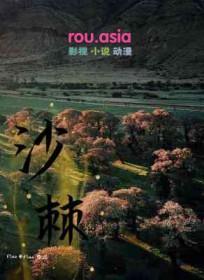 沙棘茶的功效与作用