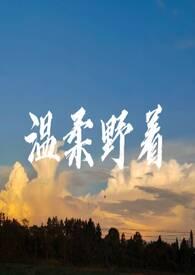 歌曲温柔阿野