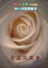 贪花风雨中大金刚免费