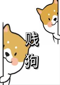 贱狗品种