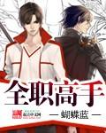 全职高手同人