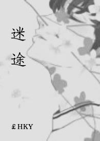 迷途红颜在线阅读免费