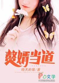 (赘婿当道)