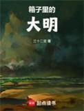 箱子里的大明高一叶