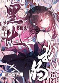 黑化圣骑士穿书