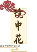 镜中花水中月梦中云