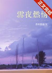 雪夜燃情免费观看