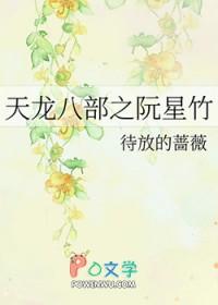 新天龙八部阮星竹扮演者