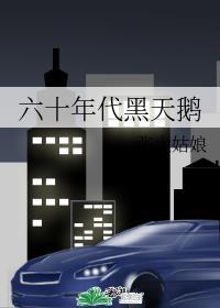 60年代黑天鹅