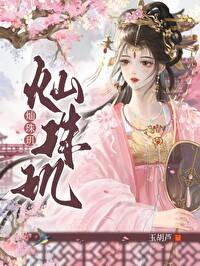 灿珠玑TXT百度
