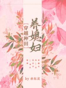 穿越种田养媳妇儿 赤东灵