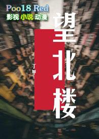 望北楼是哪个酒店