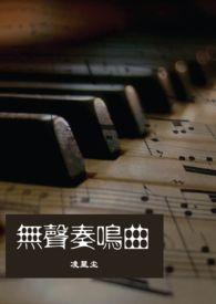 无声奏鸣曲h