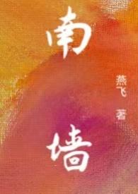 南墙图片