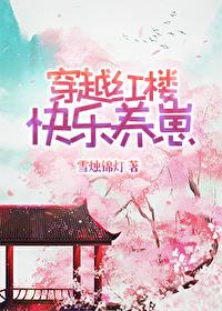 穿红楼之