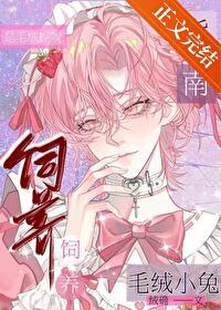 毛绒小兔饲养指南最新版