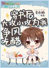 小攻穿书宠受