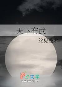 天下布武录