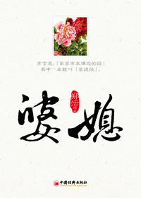 婆媳大战电视剧