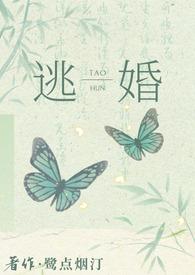 逃婚之后简介