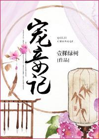 宠妾上位记