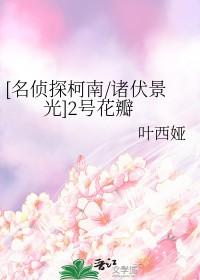 柯南二号人物