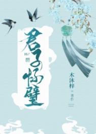 怀璧其罪什么意思