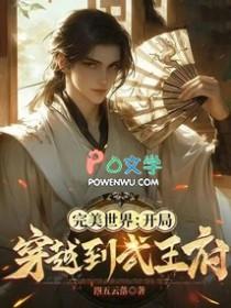 穿越完美世界