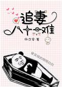 追妻八十一难 凤久安