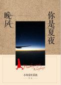 夏夜晚风歌词意思