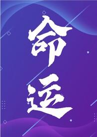 命运(年代文NP)
