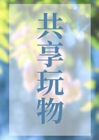 共享玩物np