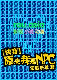 原来我不是npc
