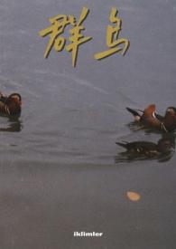 群鸟学艺是几年级的课文
