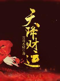 天降财运正版安装
