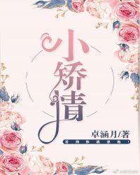 小矫情全文免费