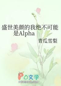盛世美颜的他