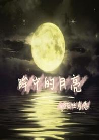 眸中景作文
