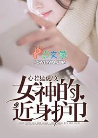 女神的近身护卫全目录