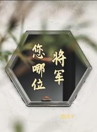 将军什么