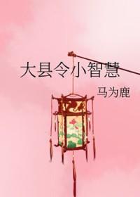 大县令小智慧gl