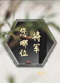 你的将军啊