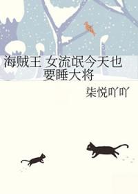 海贼王之大将流氓