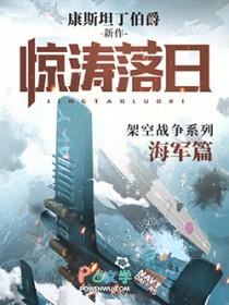 惊涛落日 康斯坦丁伯爵