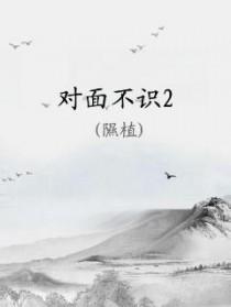 对面不相识的下一句