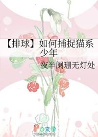 排球少年猫又育史年轻