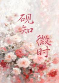 知砚