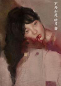 不外如是是什么意思?