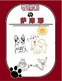 萨摩耶什么狗